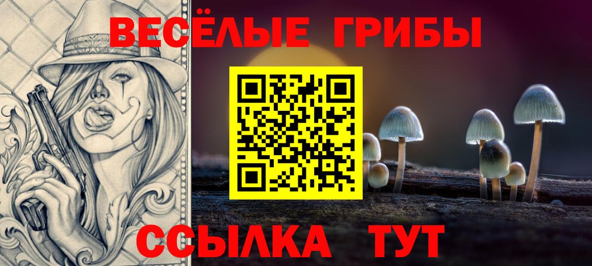 Псилоцибиновые грибы мицелий  Галлюциногенные грибы мицелий  Вход с VPN  закладка  Кизилюрт 